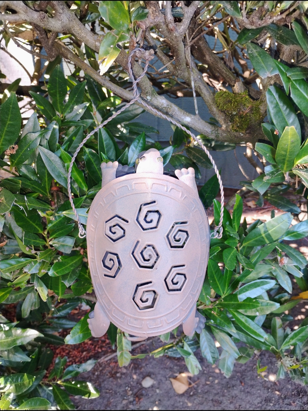Hanging Turtle Garden / Porch Decor